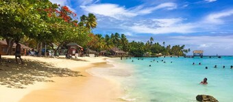 Tropical oasis, Store Bay / Pigeon Point 
