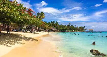 Tropical oasis, Store Bay / Pigeon Point