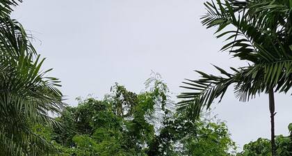 House With Nice Garden And Big Private Pool For Rent and secure power situation.