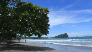 A beach with a large tree providing shade, a sandy shore, and calm ocean waves. - Enchanted Home 7  bedroom home. (Quepos/Manuel Antonio)