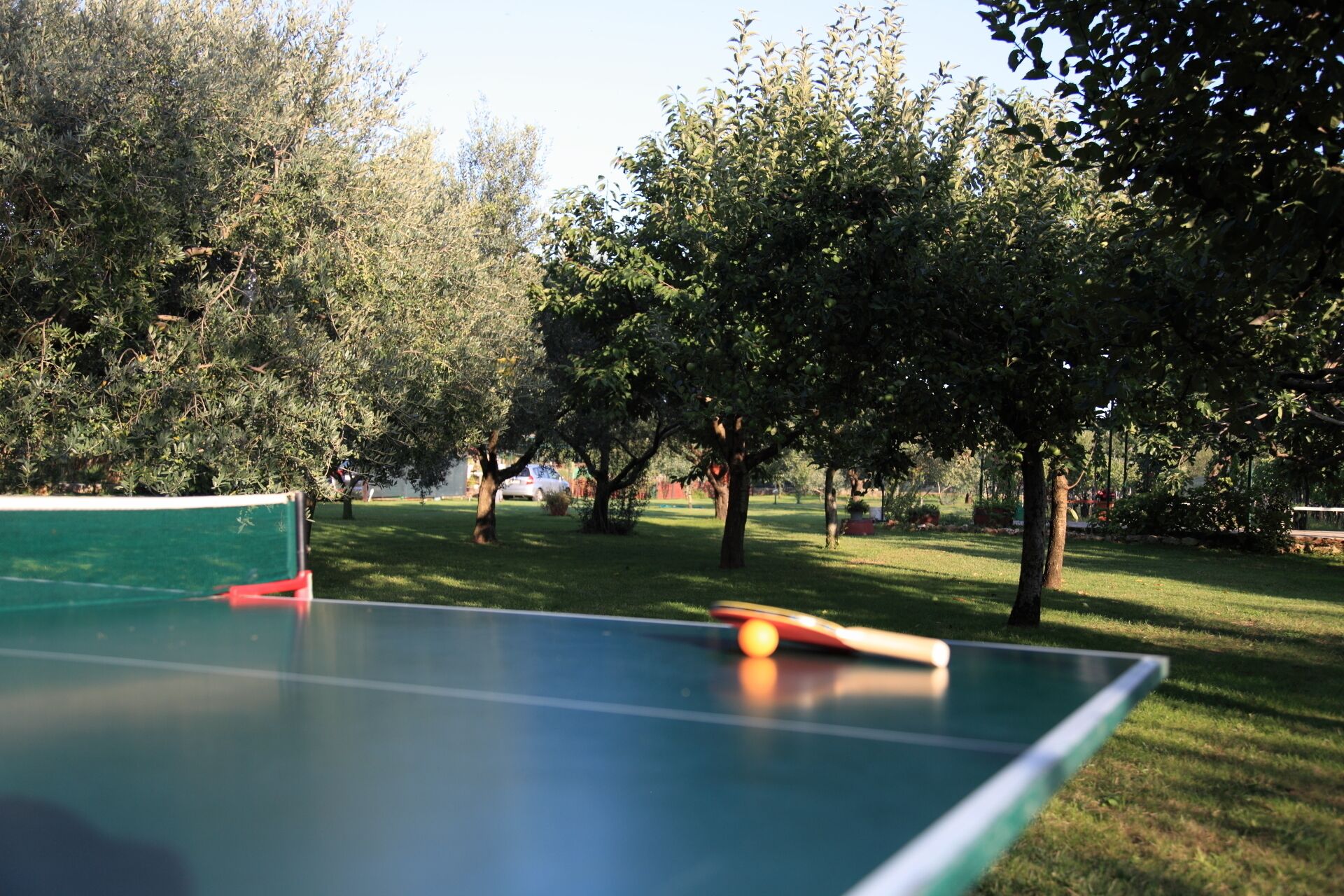 Sports court