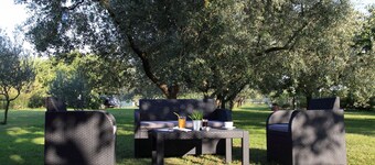 Under Walnut Tree Pomer - Familie & kæledyrsvenlig, stor græsplæne, grønt, natur