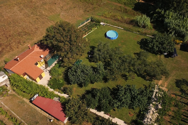 Air view - Under the Walnut Tree Pomer