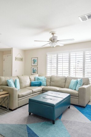 TV connectée, cheminée, lecteur de DVD, livres