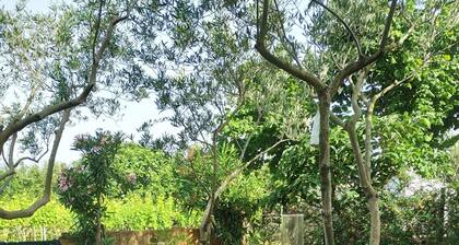 Ihana huoneisto Pula Arena I *** perheelle tai nuorelle pariskunnalle