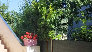 A potted red flower plant on a tiled patio with a concrete wall and a staircase in the background.