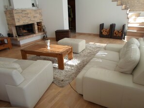 TV, fireplace, DVD player, books - Luxury apartment in the old town  (Vilnius)