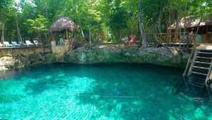 A clear pool surrounded by natural rock formations and wooden structures. - Clean spacious apartment w/ pool. Central Cancun 5 mins from beach (Cancún)
