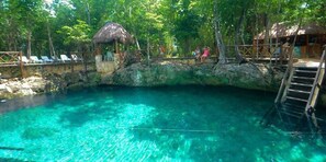 Relax by the natural swimming area surrounded by lush greenery, with a thatched-roof structure providing shade and lounge chairs for comfort.