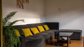 TV, fireplace, DVD player, toys