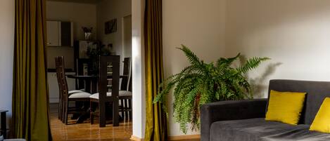 TV, fireplace, DVD player, toys