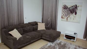 Flatskjerm-TV og DVD-spiller