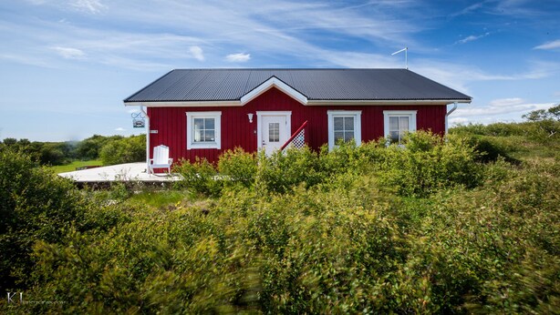 Eksteriør