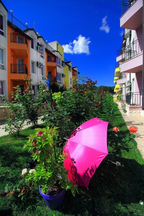 Terrein van de accommodatie