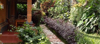 Nyoman Warta Accomodation located in ubud area. Near by mongkey forest and