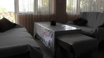 TV connectée, cheminée, lecteur de DVD, livres