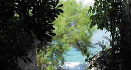 Stone house GREGOV - family groups ,eco Tourism,direct access on private beach