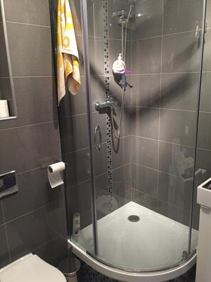 Hair dryer, towels, toilet paper - Apartment on Plac Solny in the heart of the city (Wrocław)