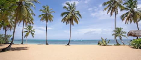 On the beach, sun loungers, beach towels