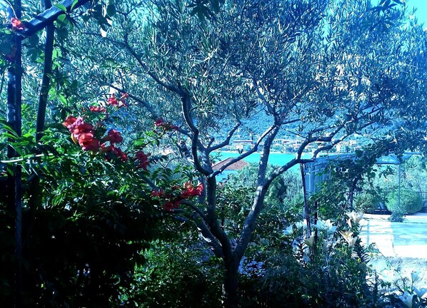 A garden with dense foliage and a view of a distant town.
