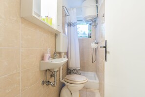 Combined shower/bathtub, hair dryer, toilet paper