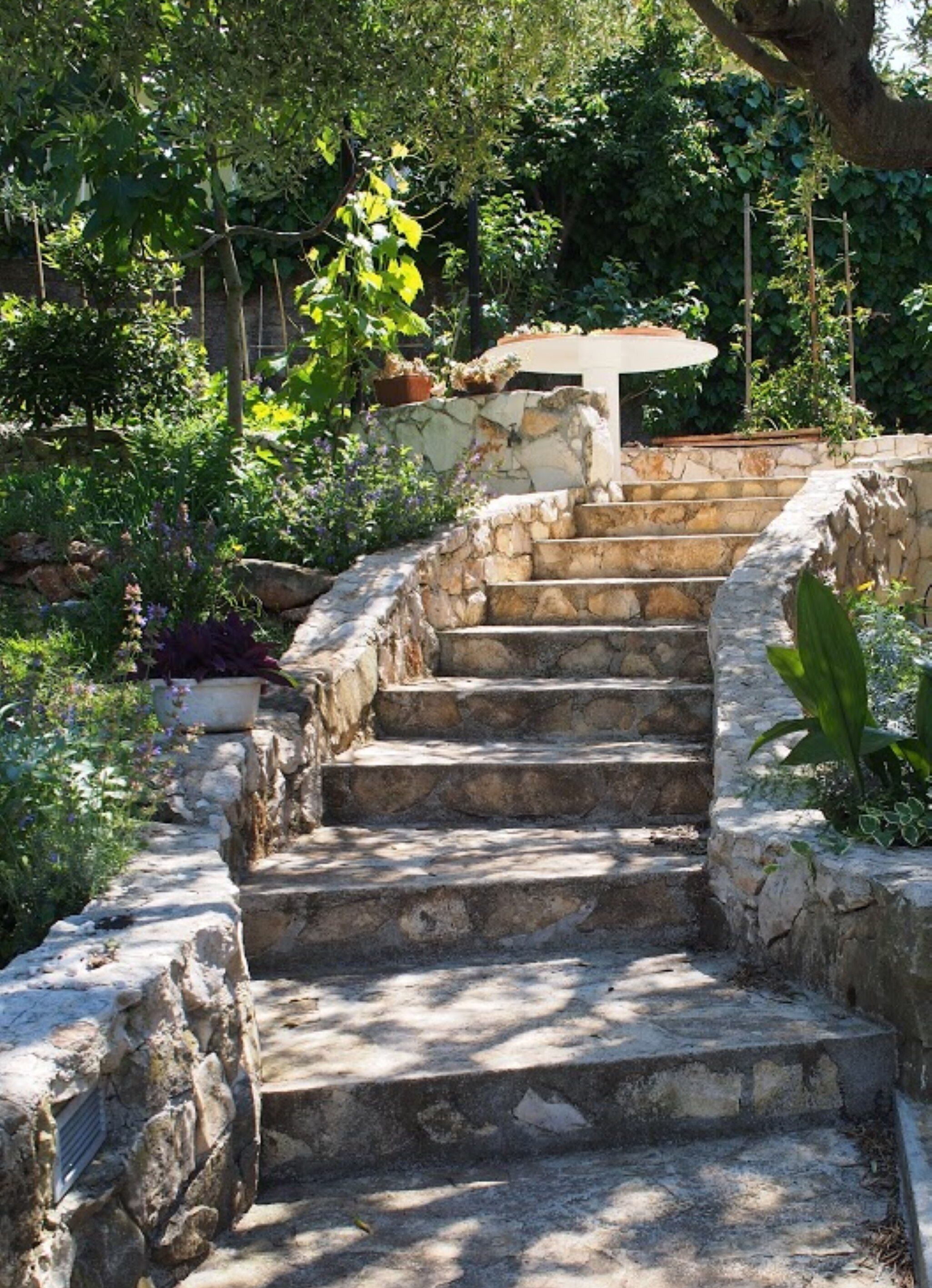 A stone staircase leading up to a covered area surrounded by lush greenery and potted plants.
