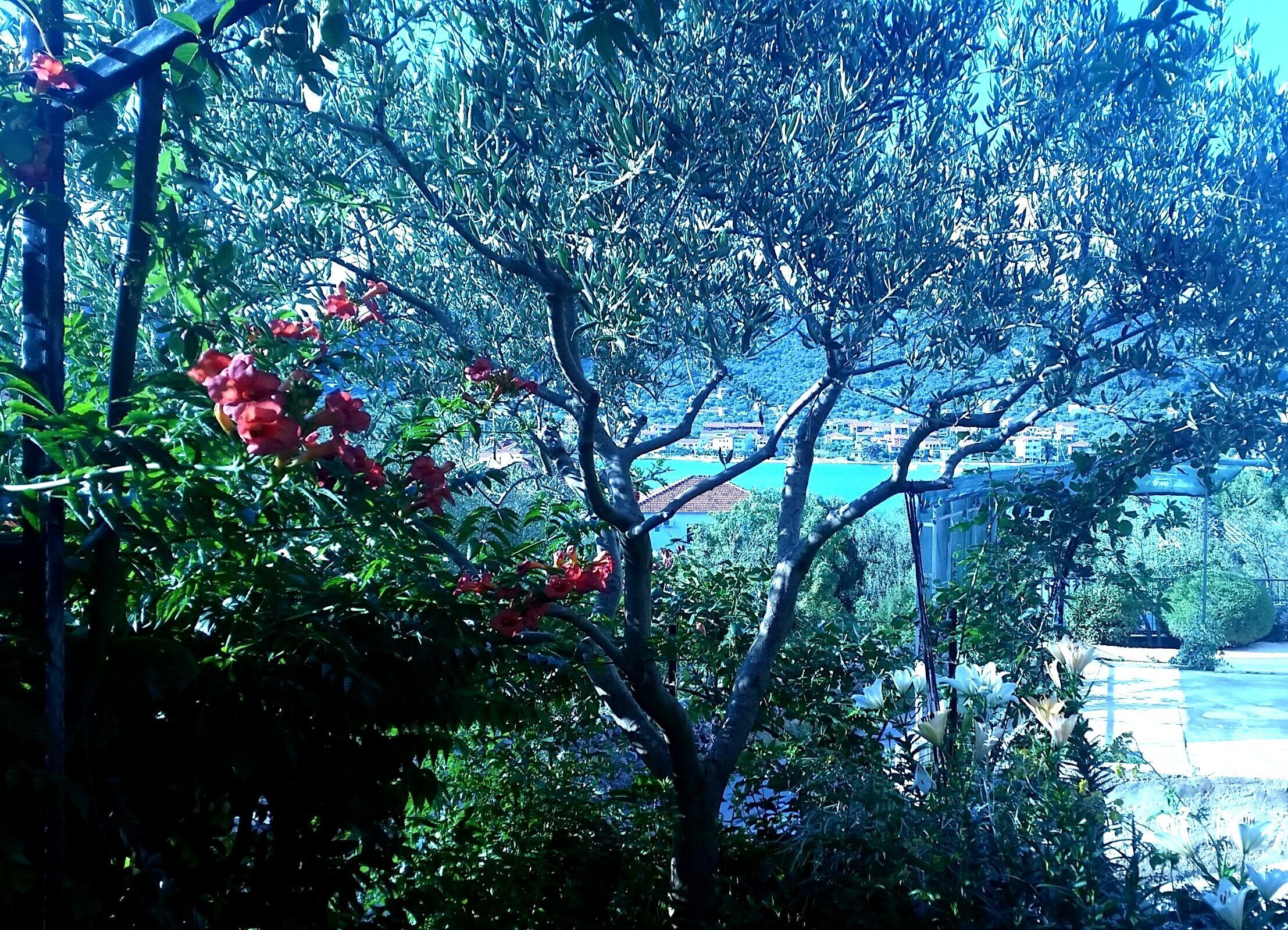 Overnatningsstedets område