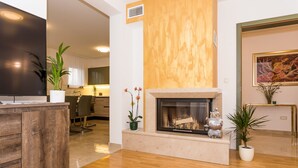 Un salon moderne doté d’une cheminée, de planchers en bois et d’un téléviseur à écran plat.