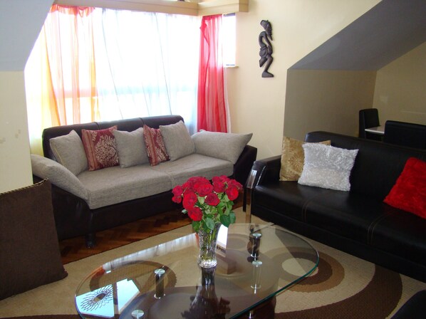 TV, video games, DVD player, books - Wasili Luxury Homestay in upscale Nairobi (Nairobi)