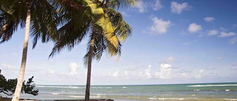 在海滩、沙滩椅、沙滩毛巾