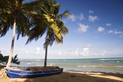 ALISEI - Charming Villa in a Beach Front Residence - Different types available