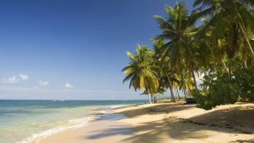 Plage, chaises longues, serviettes de plage