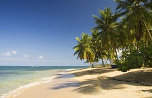 On the beach, sun-loungers, beach towels - ALISEI - Charming Villa in a Beach Front Residence - Different types available (Las Terrenas)