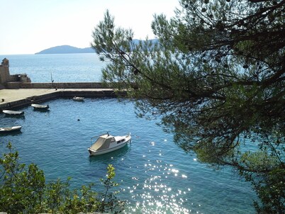 Charmy House Platanus 