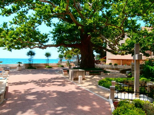 Apartment Celtis In The Heart Of Mlini