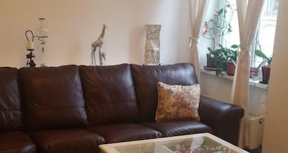 Appartement 3 Bd au coeur de Bucarest, transfert gratuit à l'aéroport