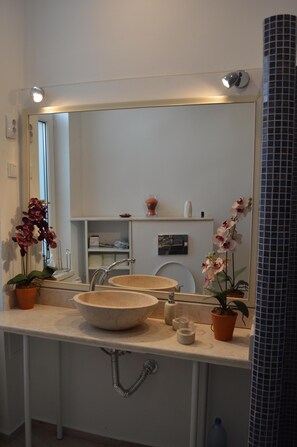 Shower, hair dryer, towels