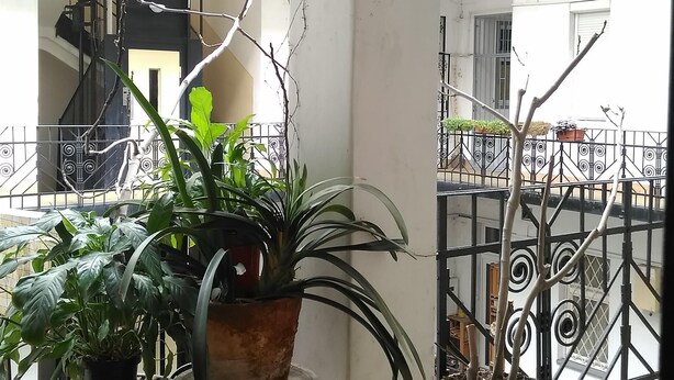 A balcony with potted plants, a metal railing, and a view of a building with a staircase.