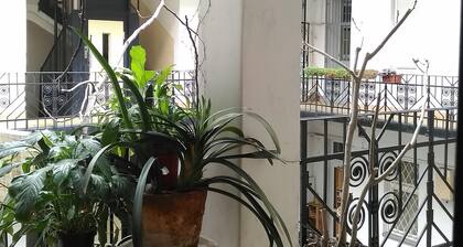 Next Danube river , personal welcome , private guided tours and homerestaurant