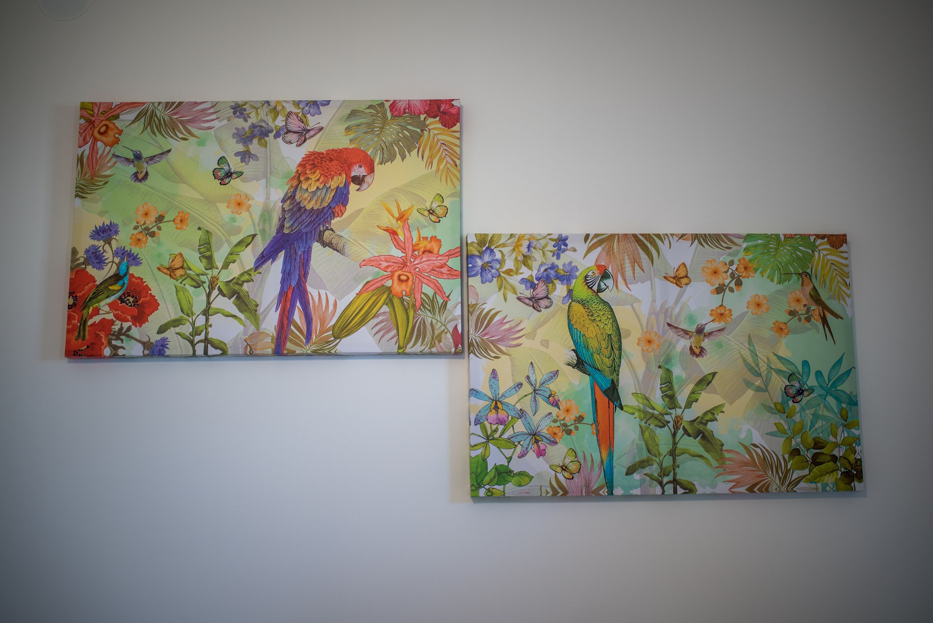 Deux tableaux aux couleurs vives représentant des perroquets et des fleurs tropicales, accrochés à un mur sobre.
