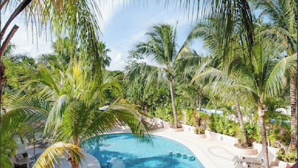 A pool surrounded by palm trees and a clear sky. - Villa Miramar Aventuras – Luxury Tropical Villa in the Mayan Riviera (Puerto Aventuras)