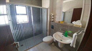 Shower, hair dryer, towels