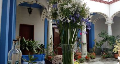 Beautiful House near Santo Domingo Church Oaxaca