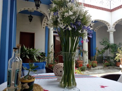 Beautiful House near Santo Domingo Church Oaxaca