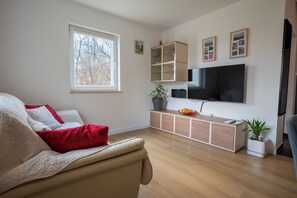 TV, fireplace, DVD player, stereo