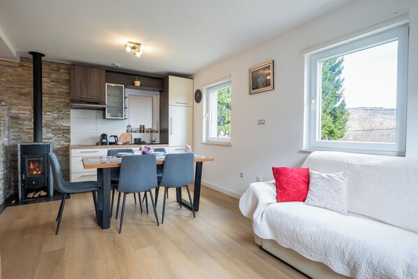 TV, fireplace, DVD player, stereo