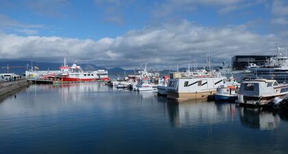 Cosy Harbor Area Apt, Private Entrance. Newly Renovated. Free WiFi & Parking