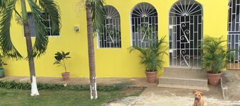 El trabajo de mi padre Jamaica
