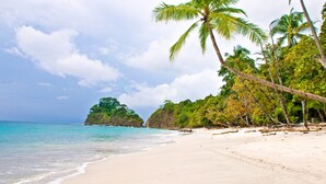 A beach with white sand, clear turquoise water, and palm trees. -  Panoramic Ocean views Waterfront Luxury Home  (Jaco)