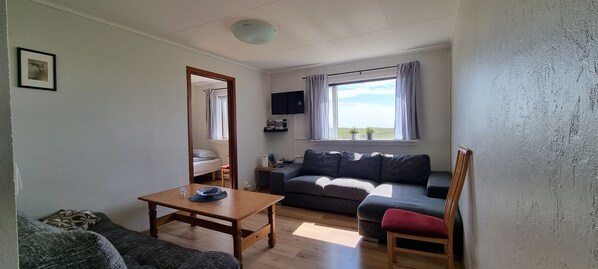 TV, DVD player, video library